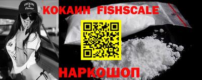 шишки Абакан