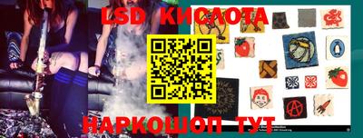 шишки Абакан