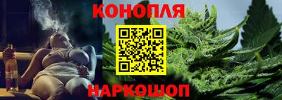 шишки Абакан