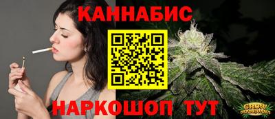 шишки Абакан
