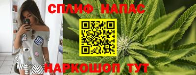 шишки Абакан