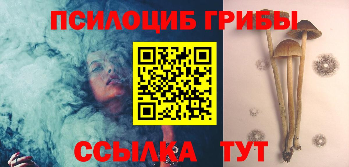 Псилоцибиновые грибы Magic Shrooms Архангельск