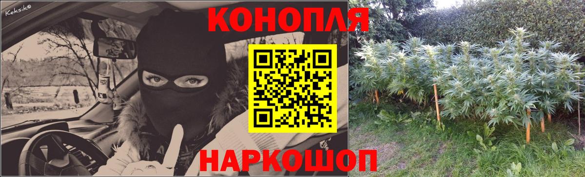 Каннабис ГИДРОПОН Архангельск